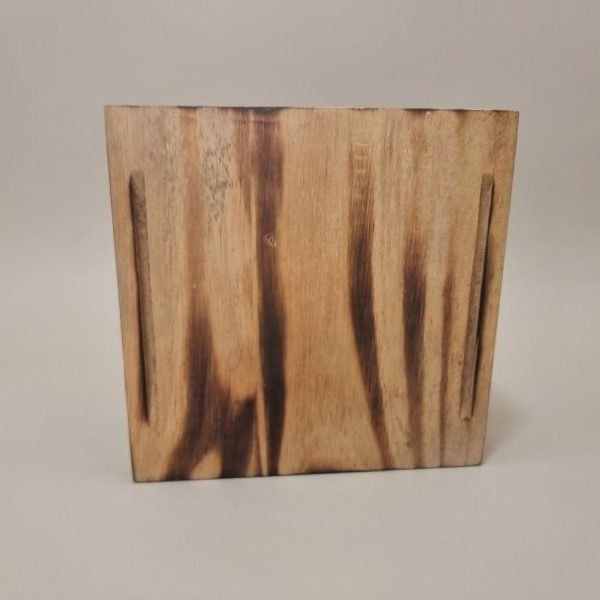 Platos Ecos de 18X18cm
